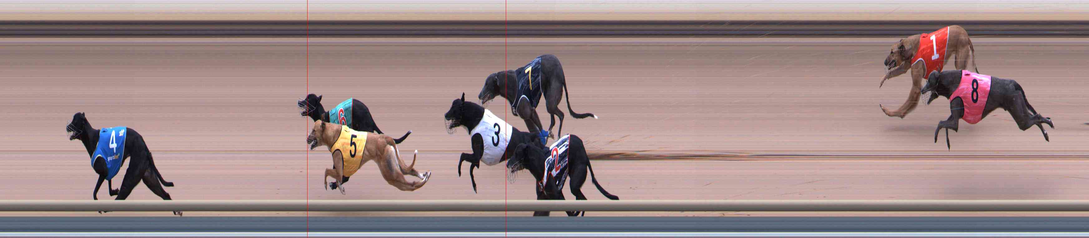 Photo finish for Healesville Race 3