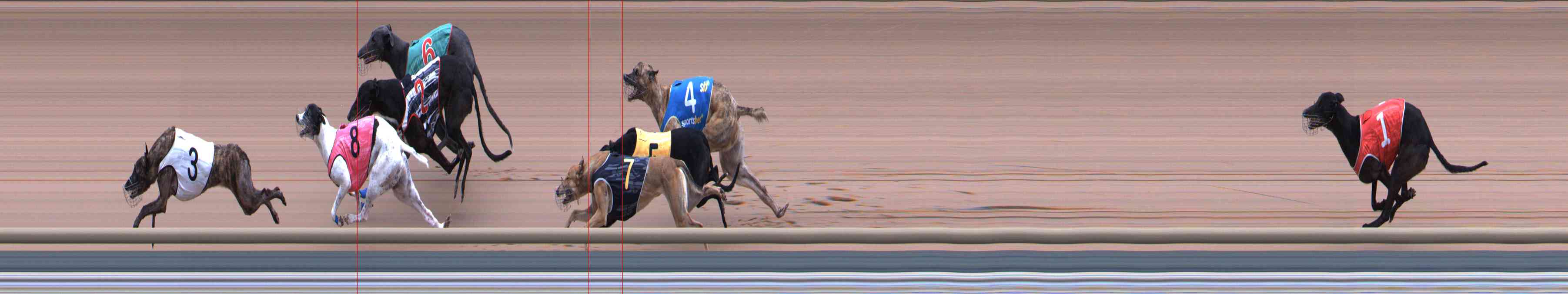 Photo finish for Healesville Race 4