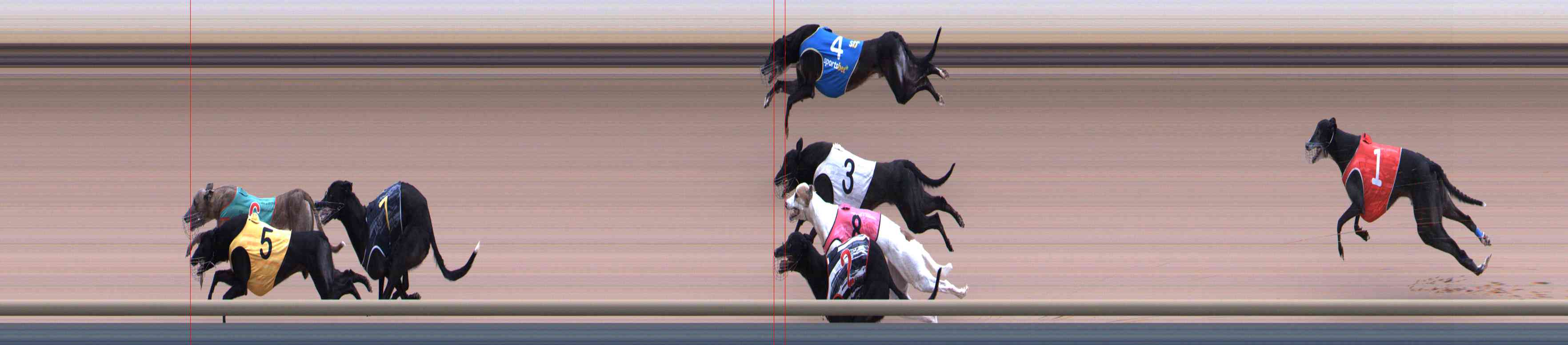 Photo finish for Healesville Race 6