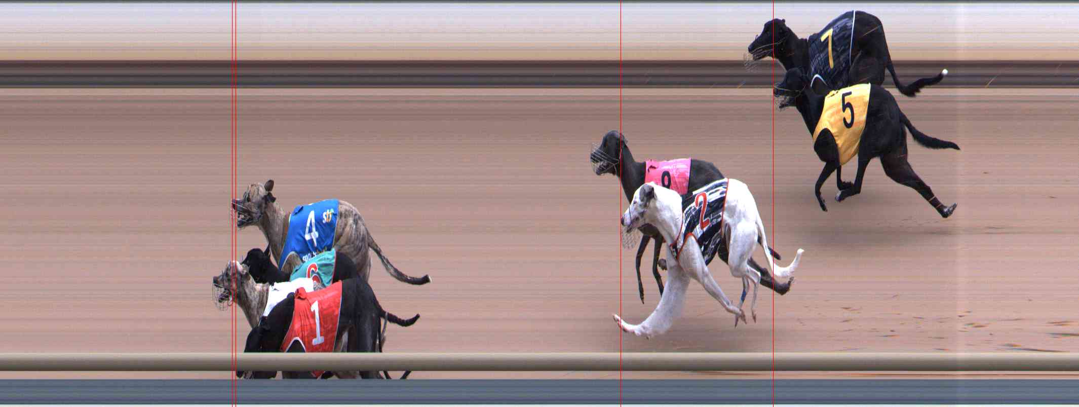 Photo finish for Healesville Race 8