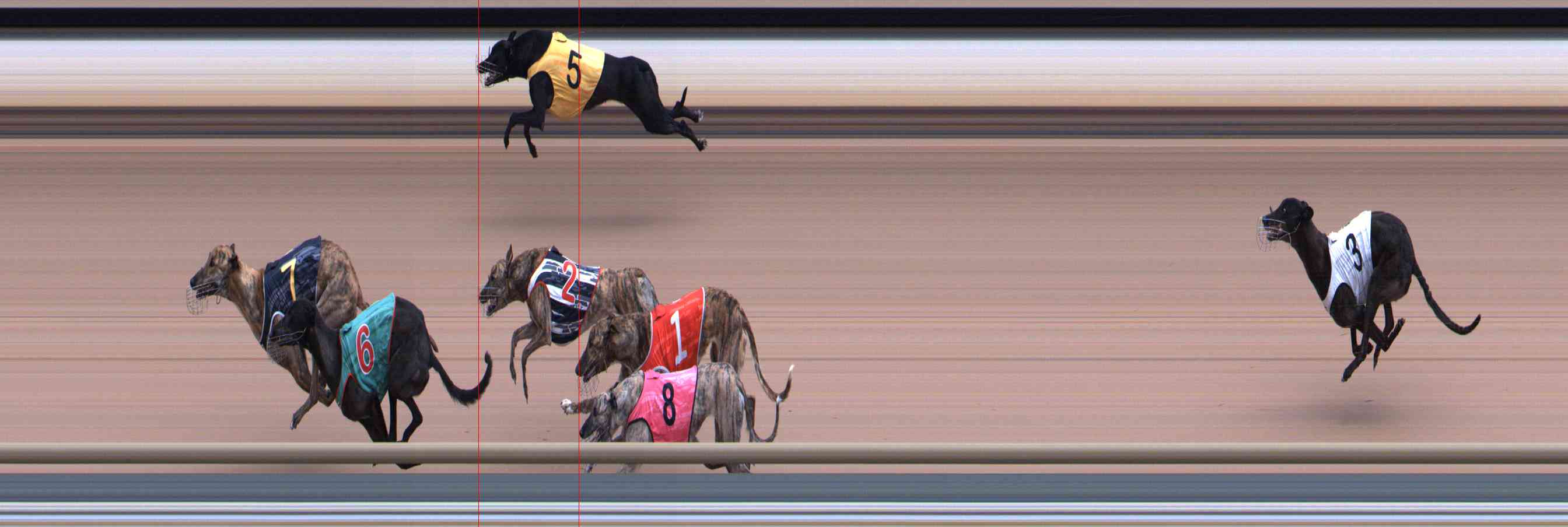 Photo finish for Healesville Race 9