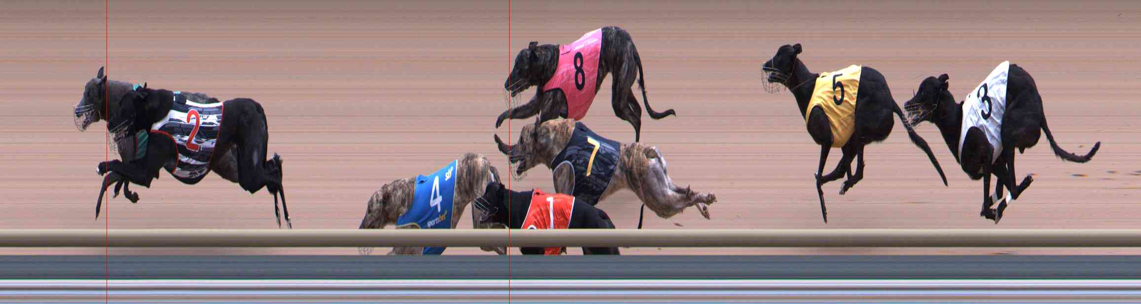 Photo finish for Healesville Race 11