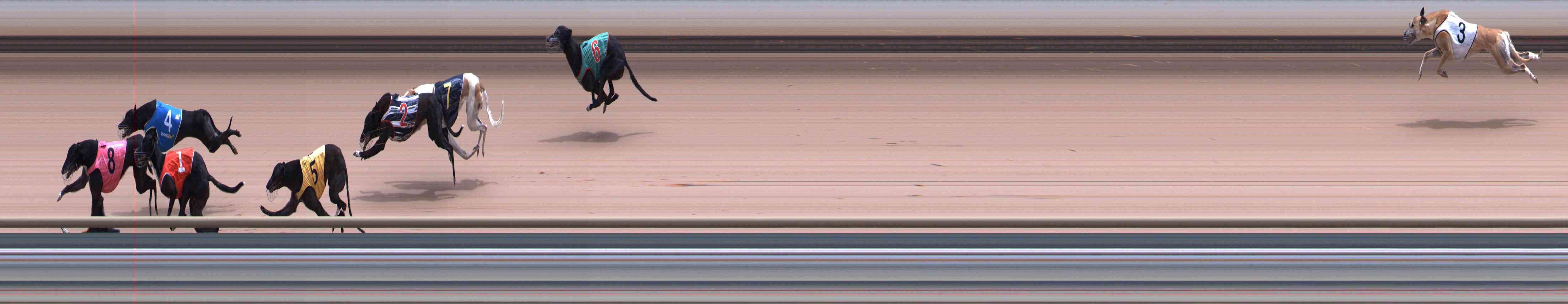 Photo finish for Healesville Race 12