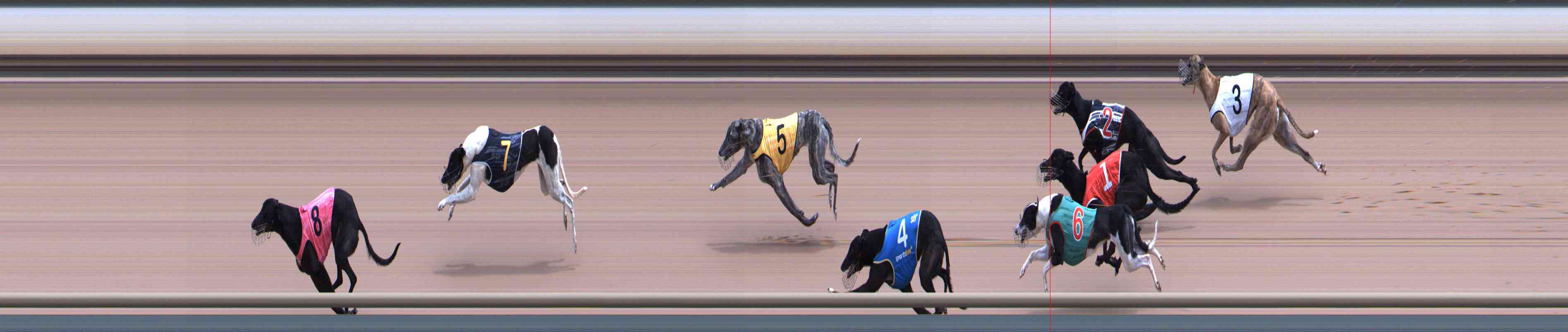 Photo finish for Healesville Race 10