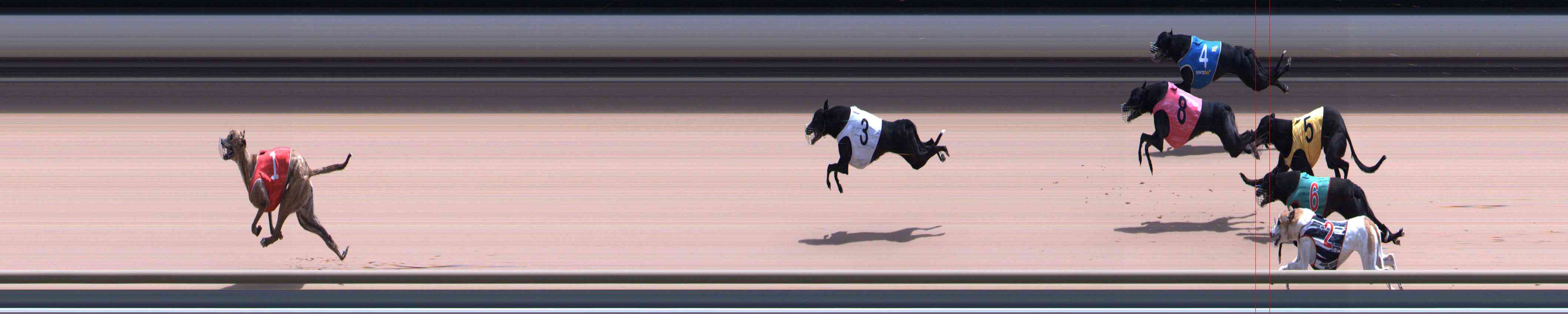 Photo finish for Healesville Race 11