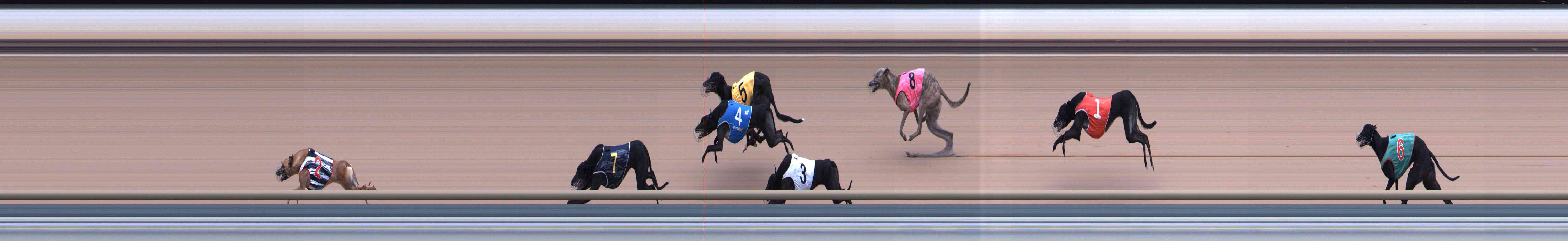 Photo finish for Healesville Race 5