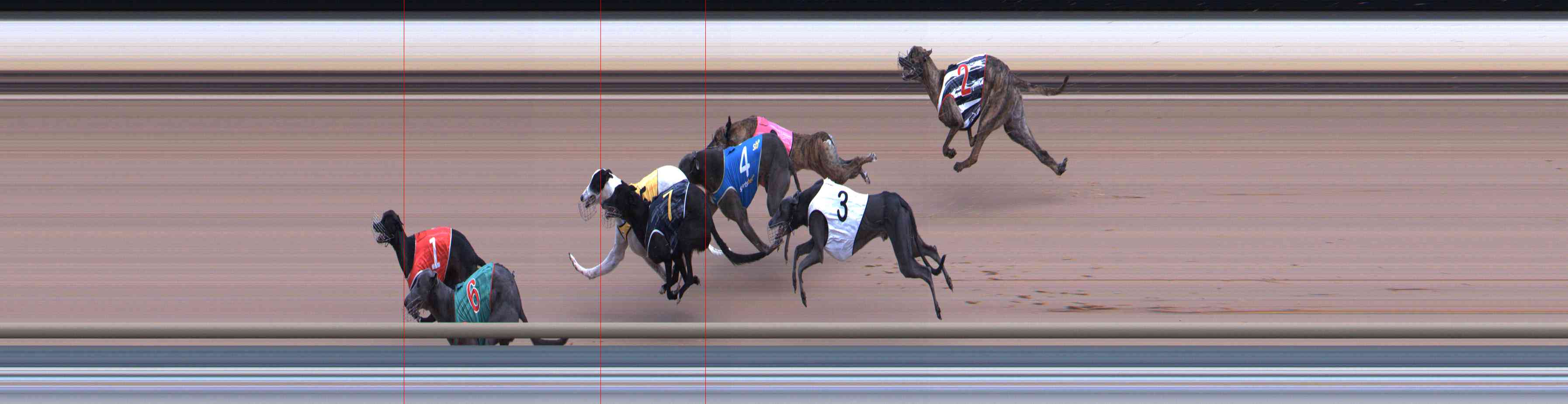 Photo finish for Healesville Race 6