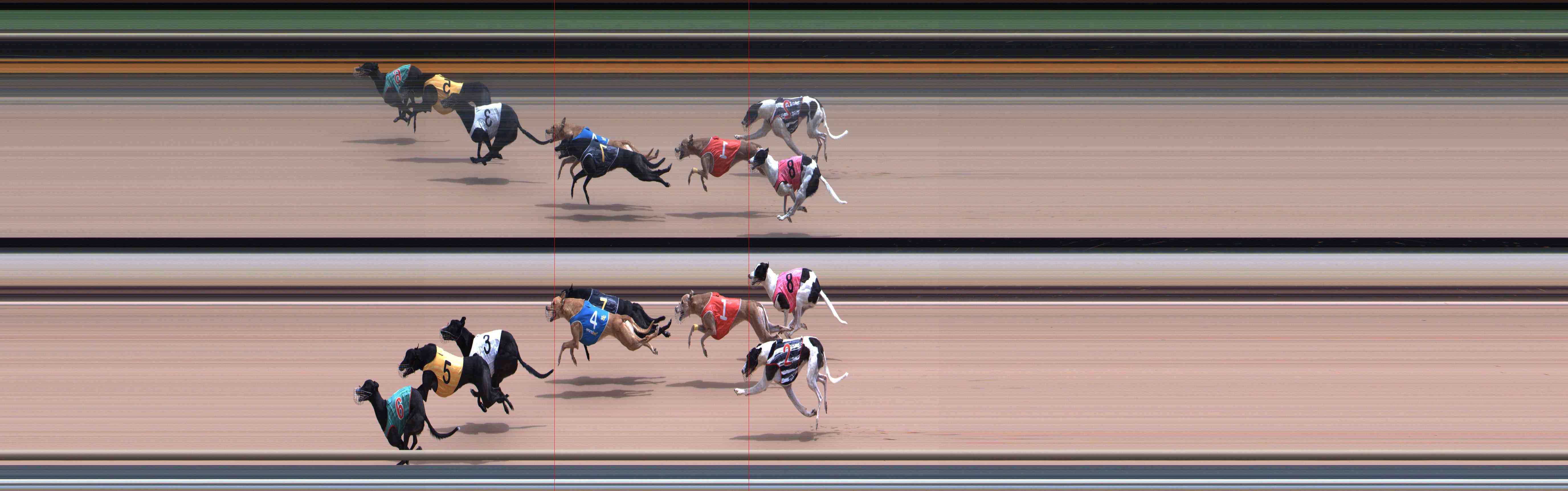 Photo finish for Healesville Race 7
