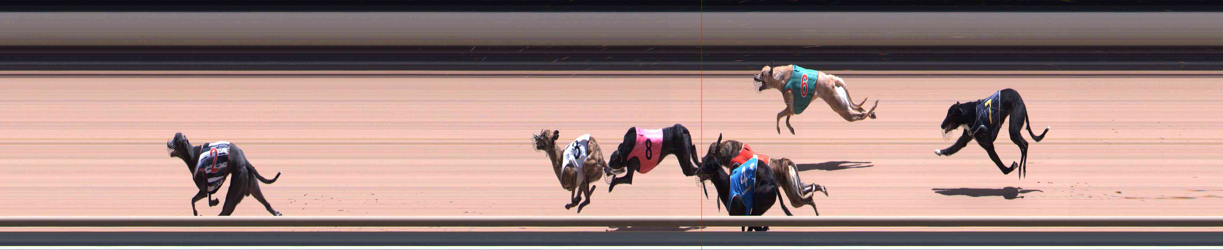 Photo finish for Healesville Race 9