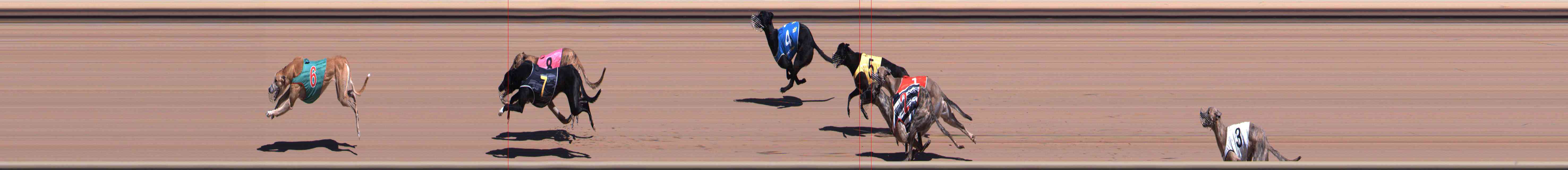 Photo finish for Healesville Race 1