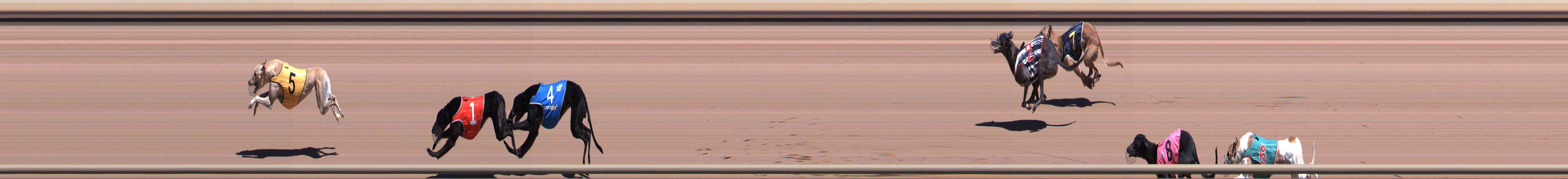 Photo finish for Healesville Race 2