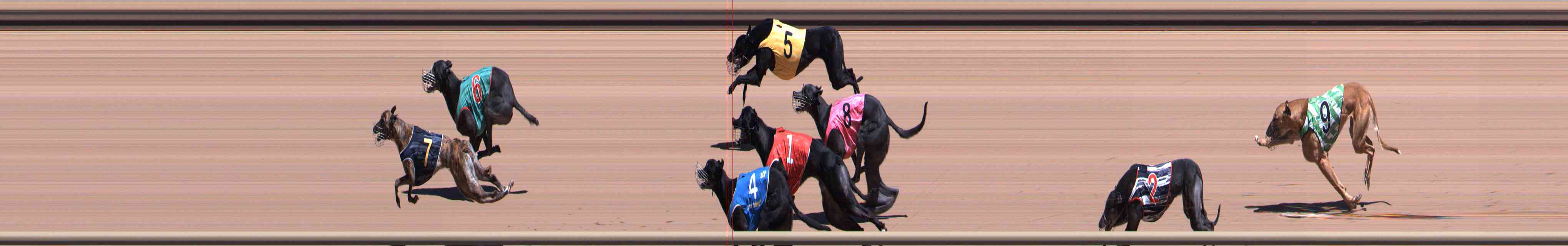 Photo finish for Healesville Race 3