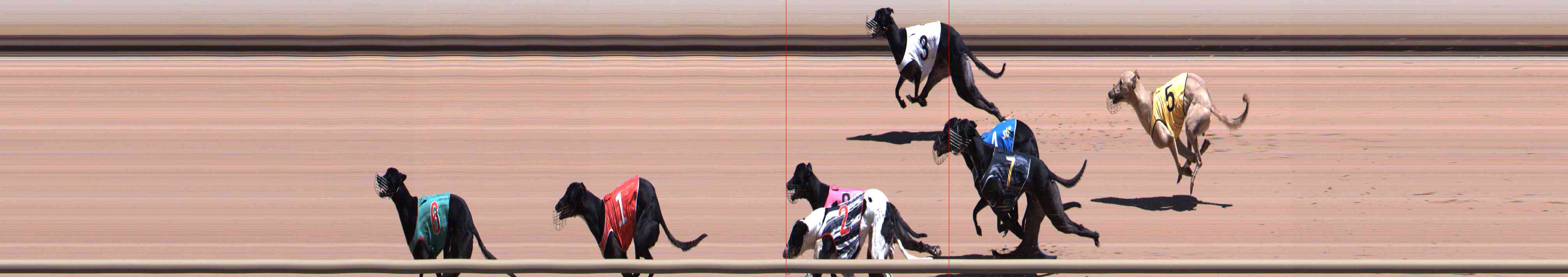 Photo finish for Healesville Race 4
