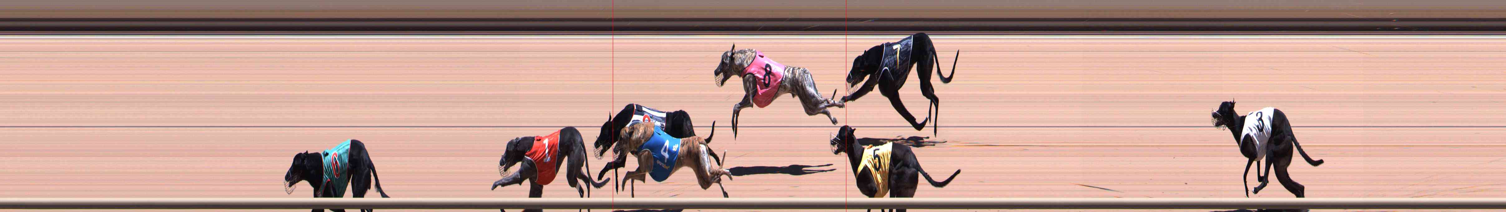 Photo finish for Healesville Race 6