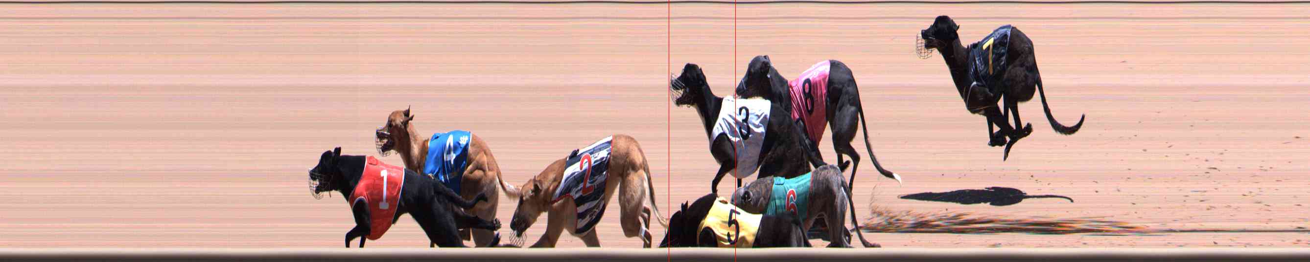 Photo finish for Healesville Race 7