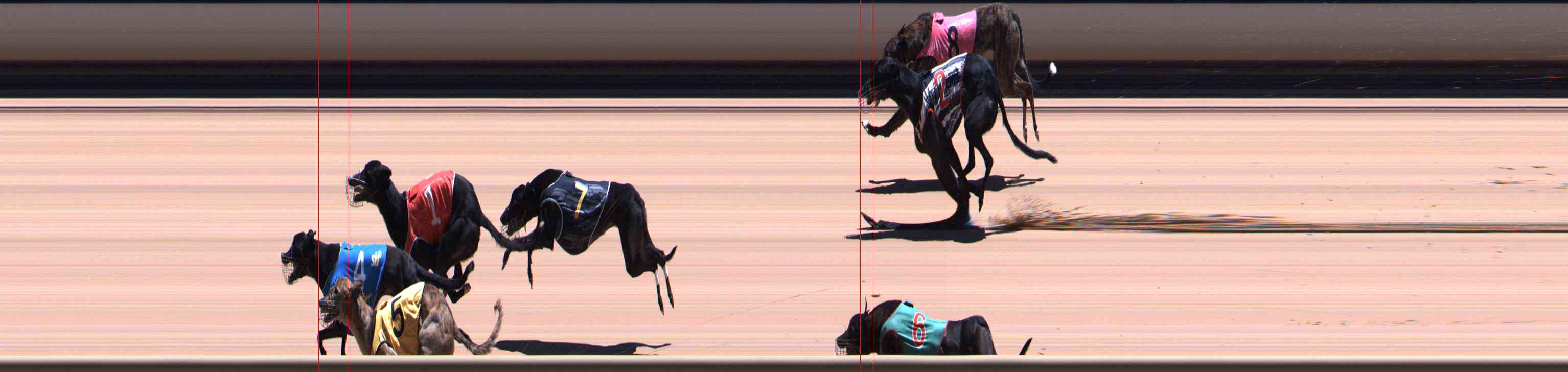 Photo finish for Healesville Race 8