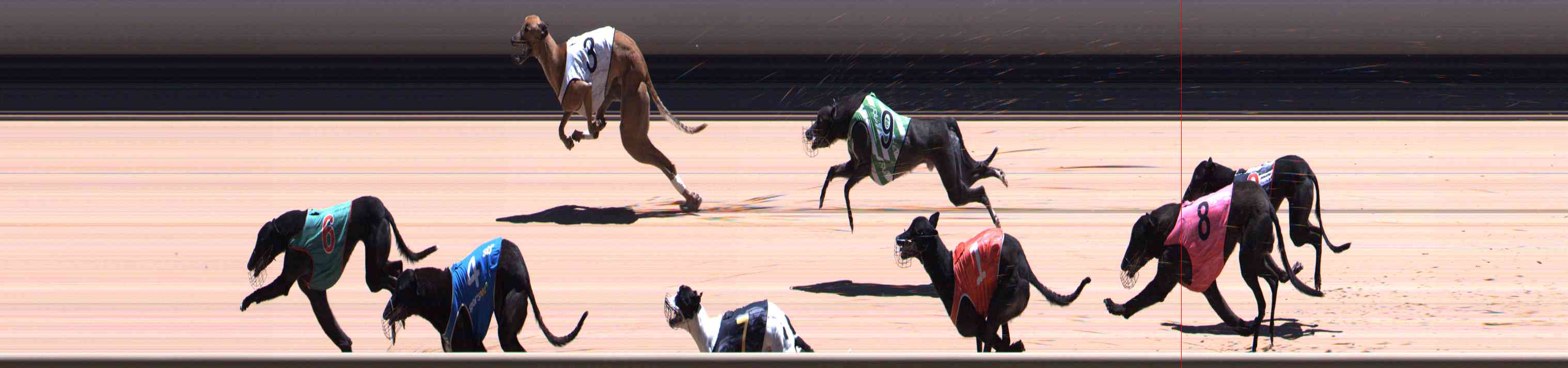 Photo finish for Healesville Race 9