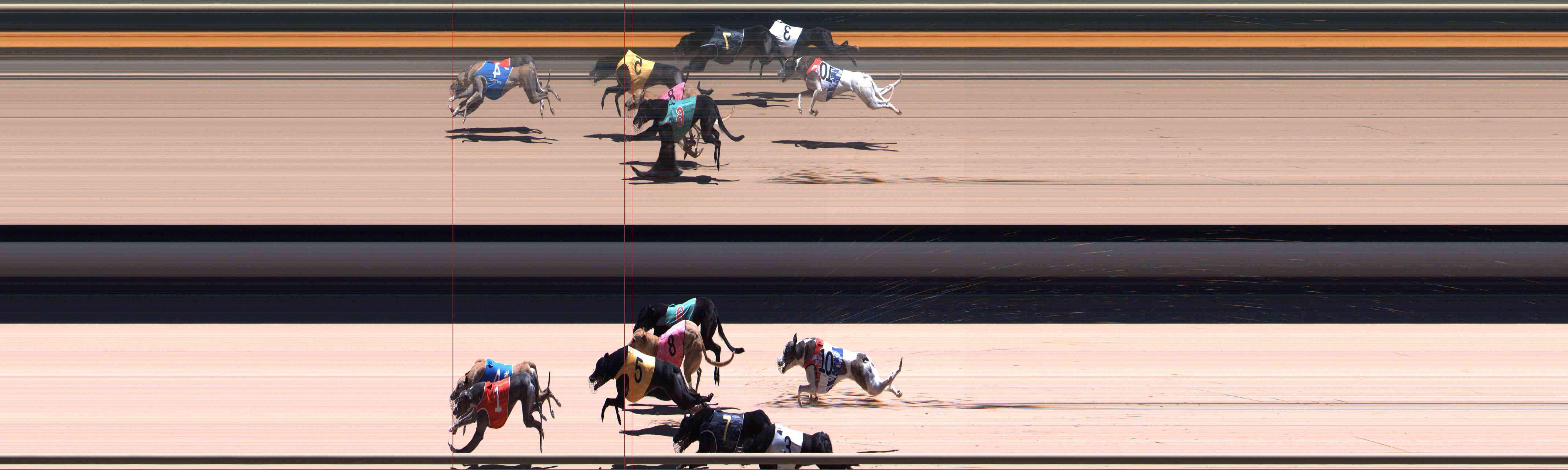 Photo finish for Healesville Race 10