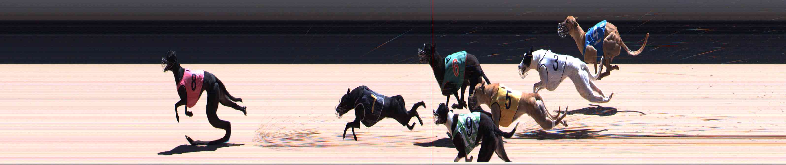 Photo finish for Healesville Race 11