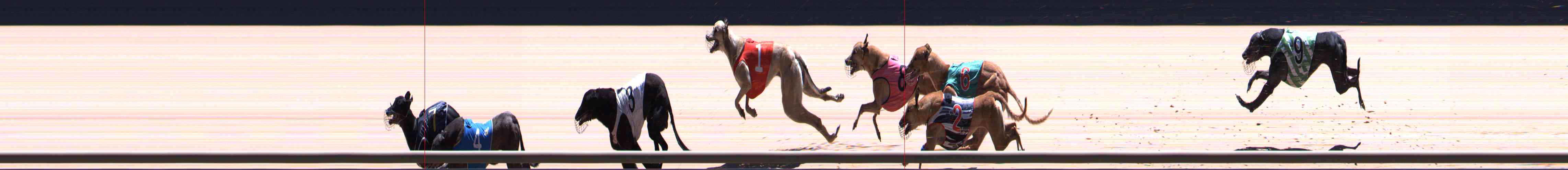 Photo finish for Healesville Race 12