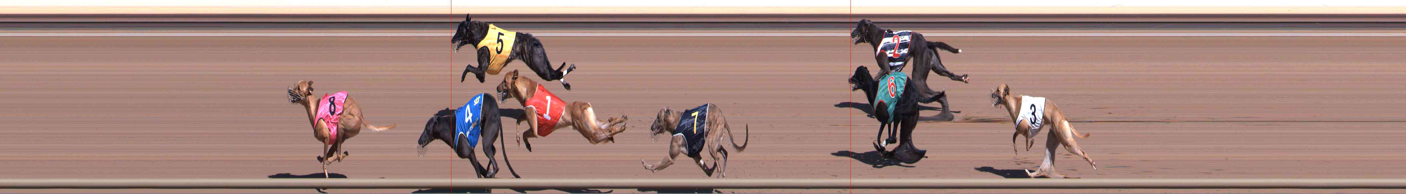 Photo finish for Healesville Race 1