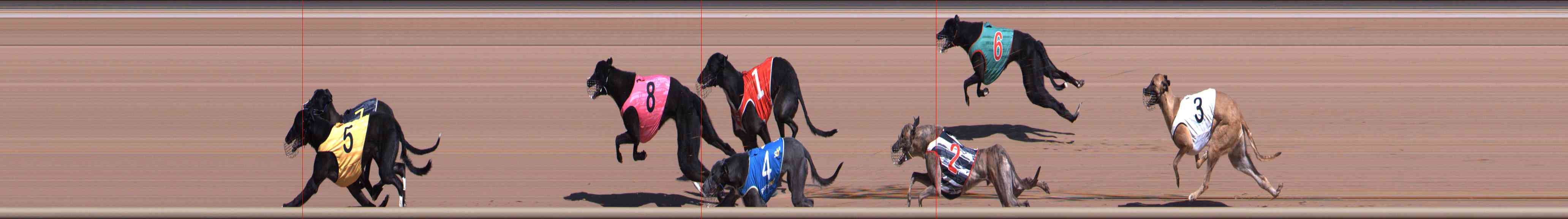 Photo finish for Healesville Race 2