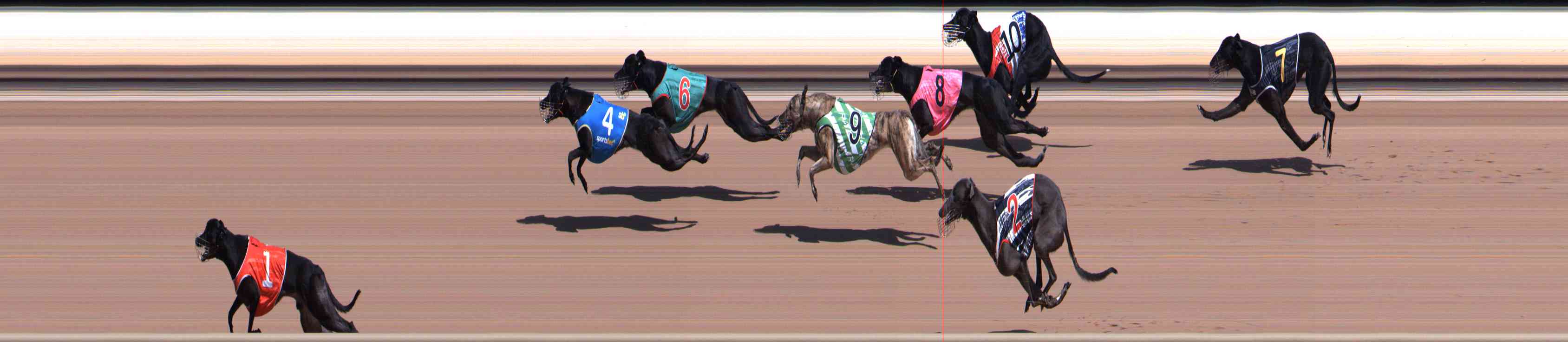 Photo finish for Healesville Race 3