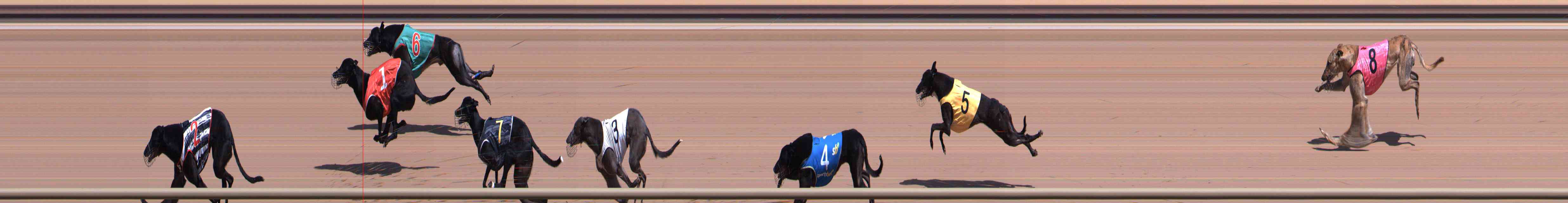 Photo finish for Healesville Race 4