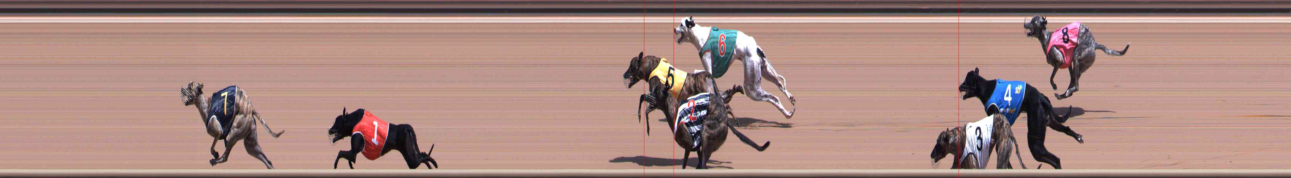 Photo finish for Healesville Race 5