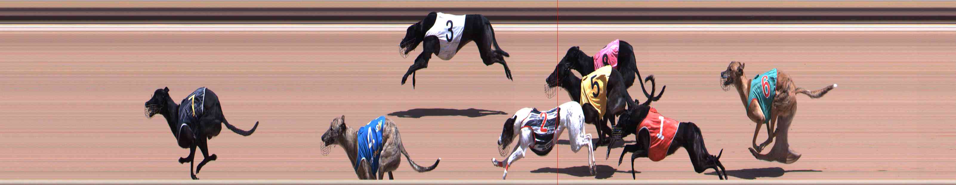 Photo finish for Healesville Race 6