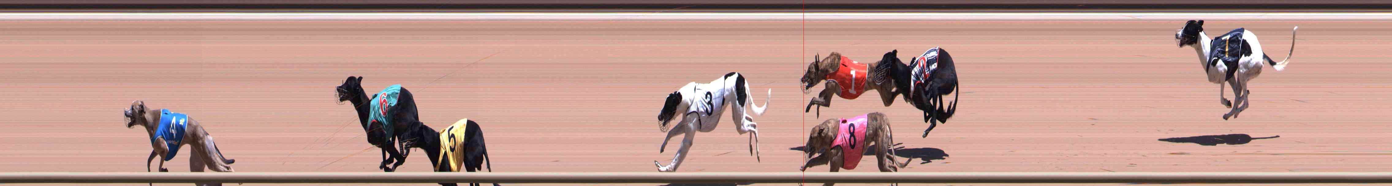 Photo finish for Healesville Race 7