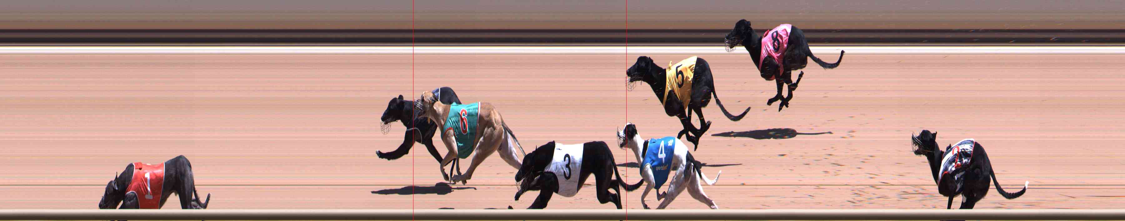 Photo finish for Healesville Race 8
