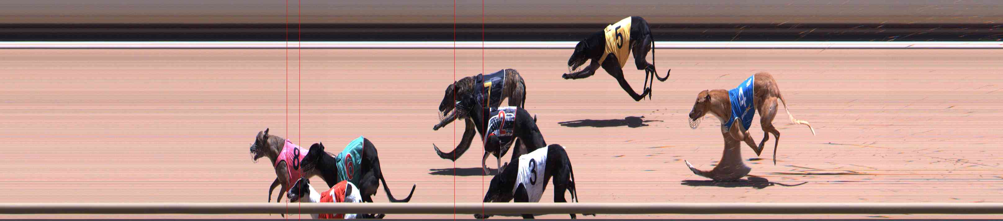Photo finish for Healesville Race 9