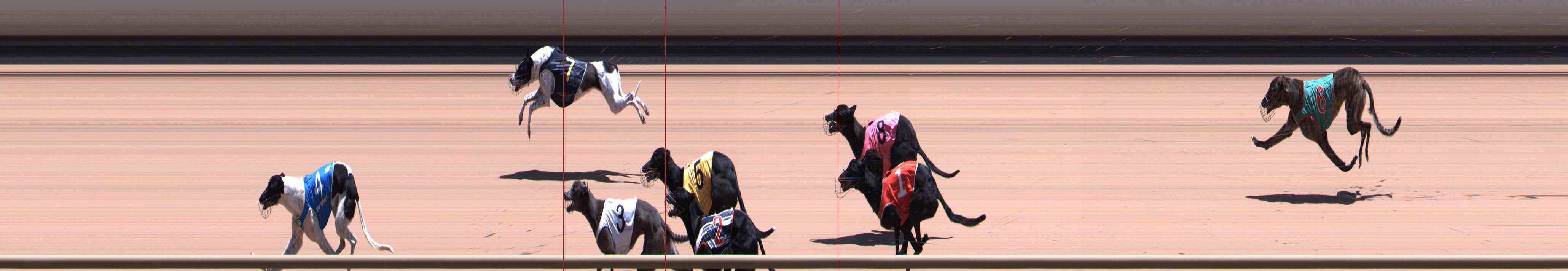 Photo finish for Healesville Race 10