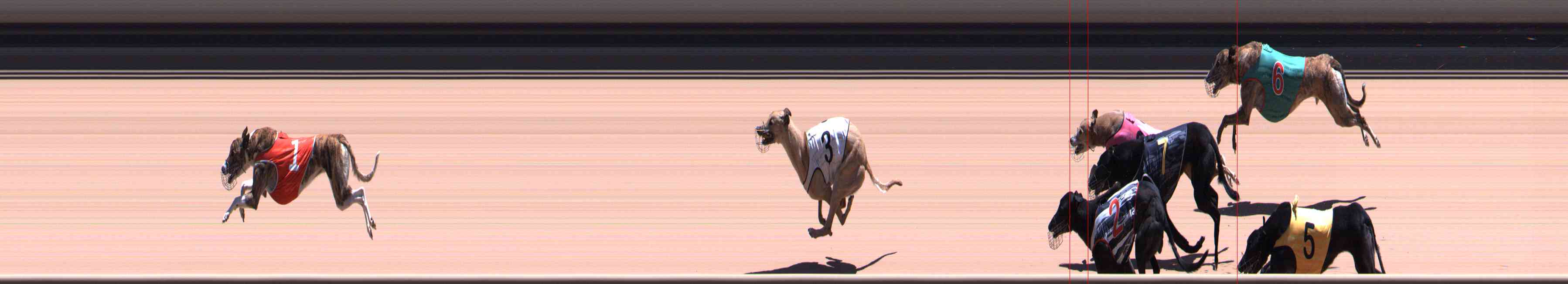 Photo finish for Healesville Race 11