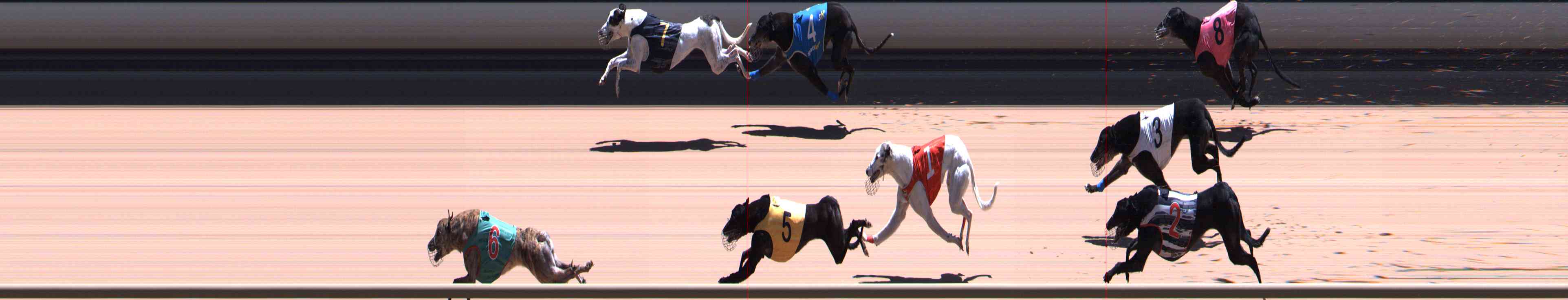 Photo finish for Healesville Race 12