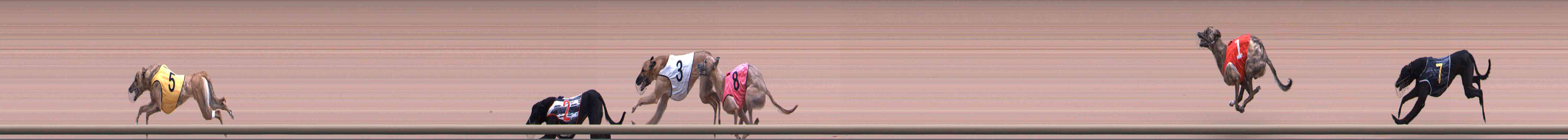 Photo finish for Healesville Race 1