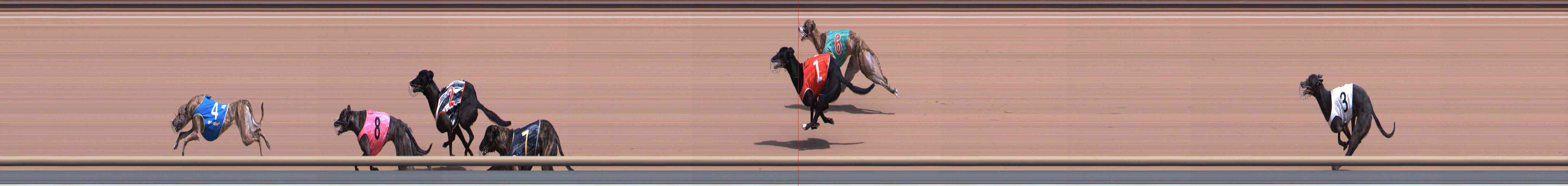 Photo finish for Healesville Race 2