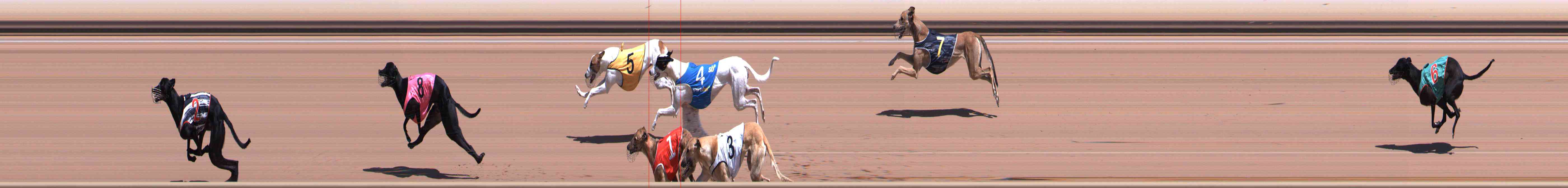 Photo finish for Healesville Race 3