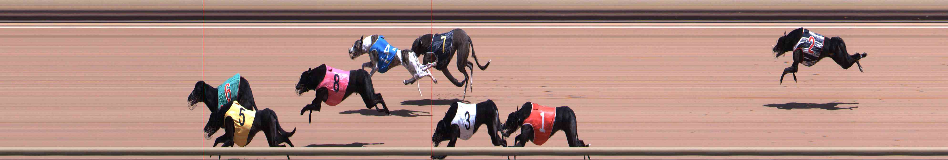 Photo finish for Healesville Race 4