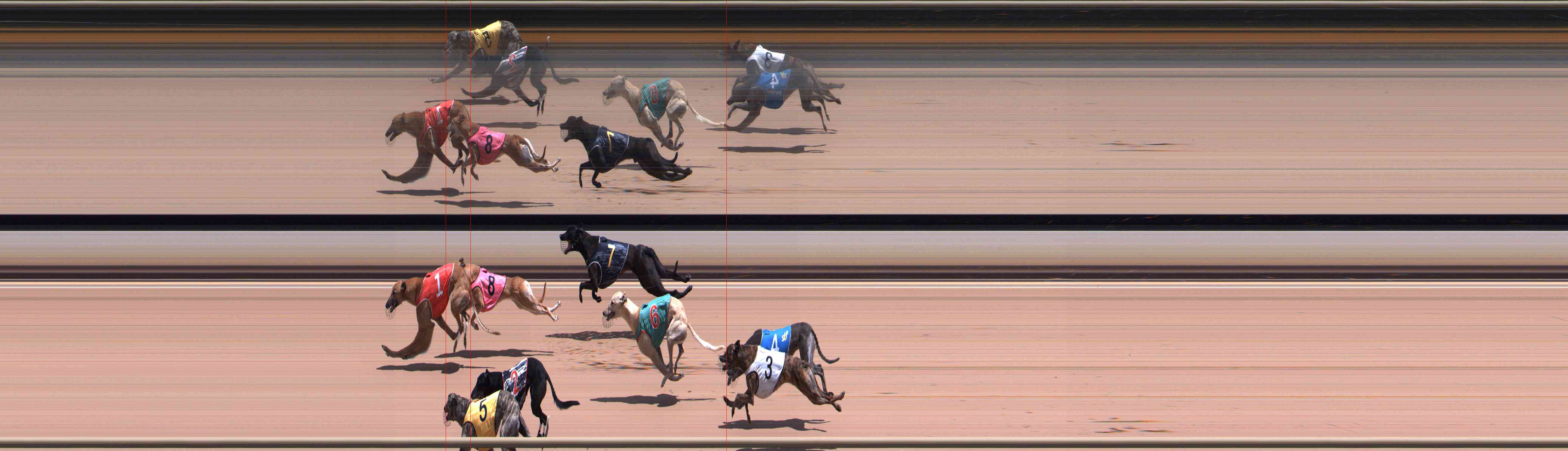 Photo finish for Healesville Race 5
