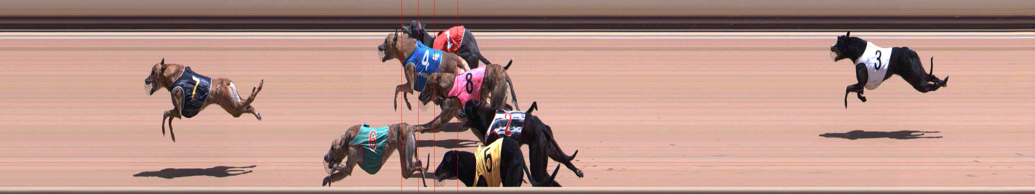 Photo finish for Healesville Race 6