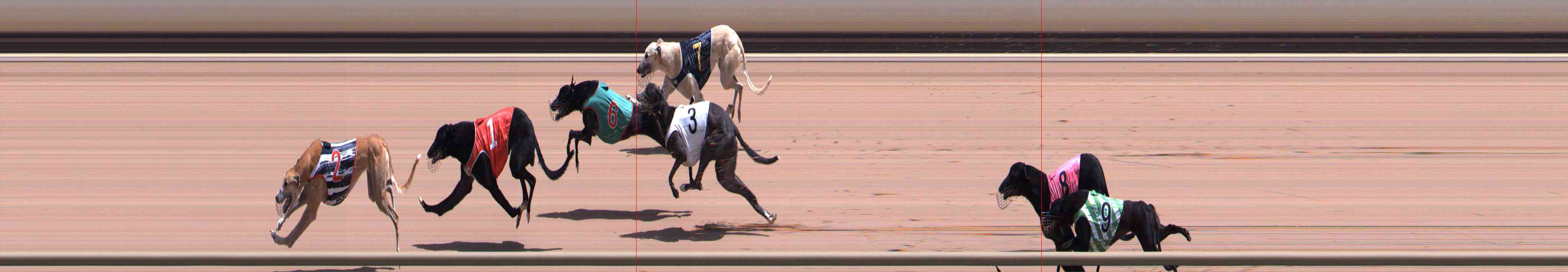 Photo finish for Healesville Race 7