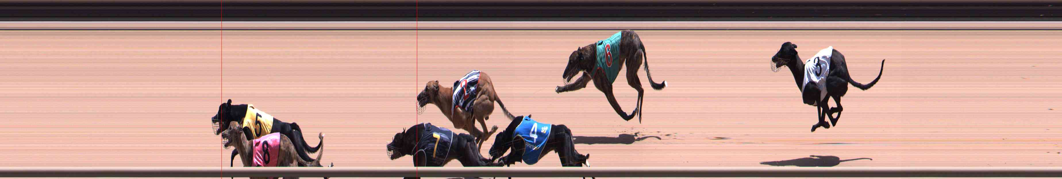 Photo finish for Healesville Race 8