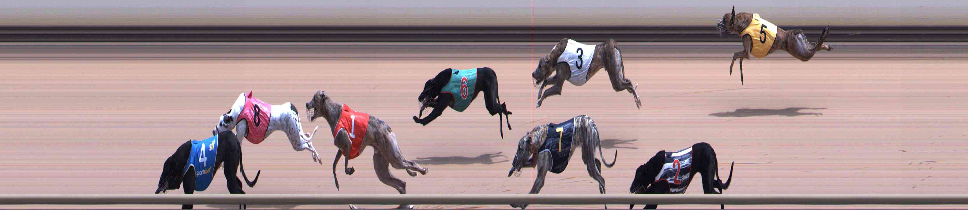 Photo finish for Healesville Race 9
