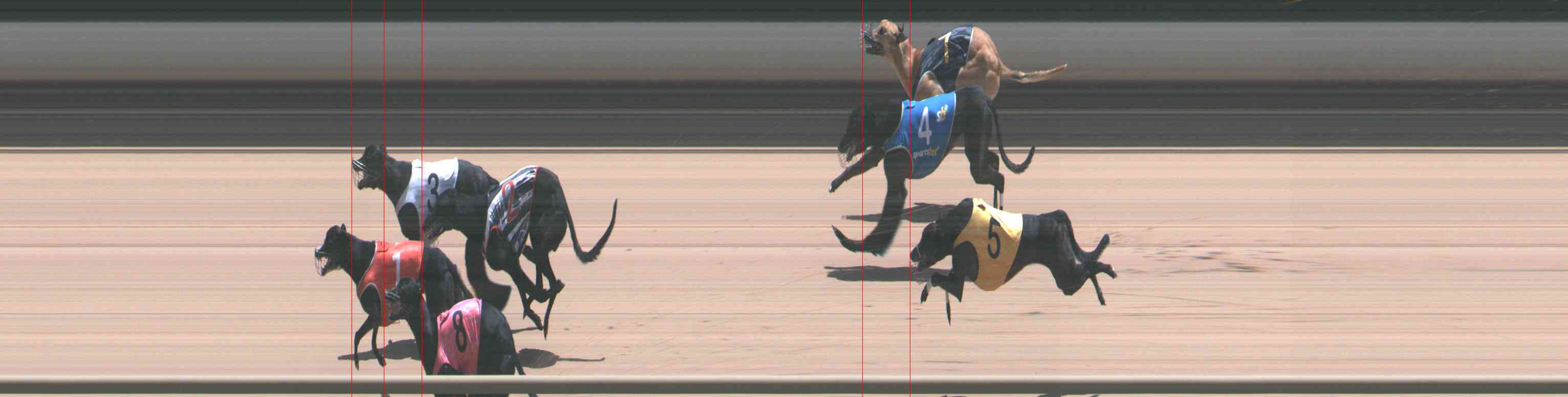 Photo finish for Healesville Race 10