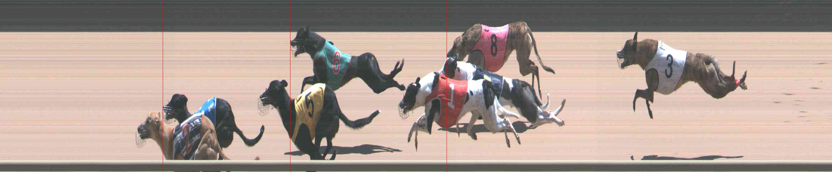 Photo finish for Healesville Race 11