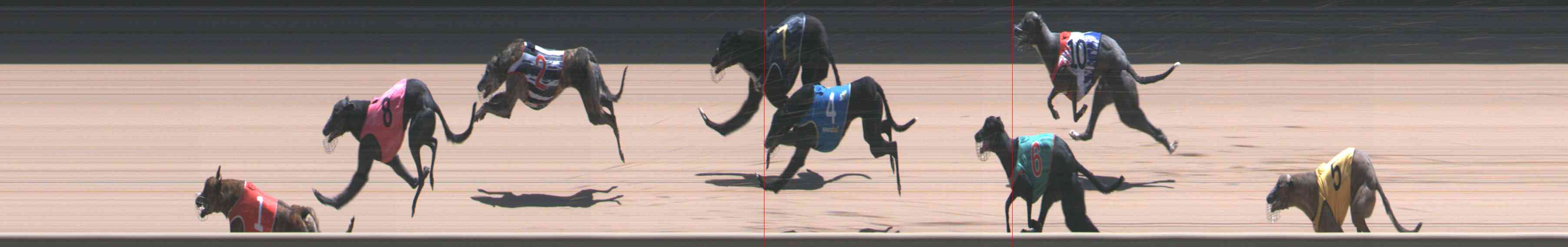 Photo finish for Healesville Race 12