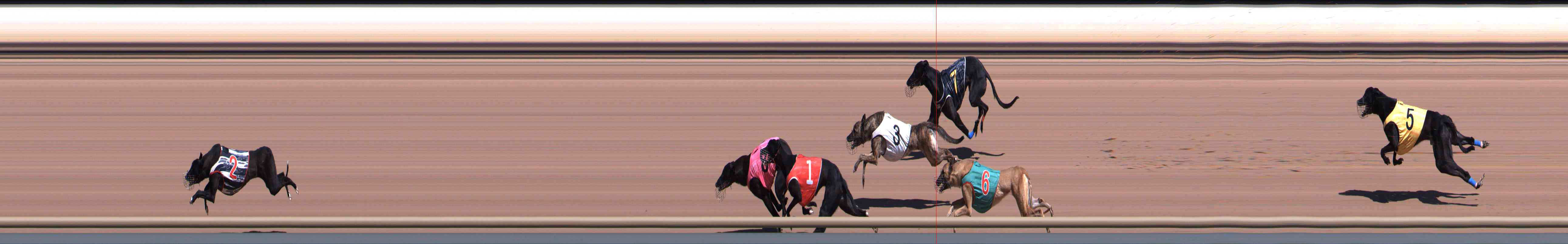 Photo finish for Healesville Race 2