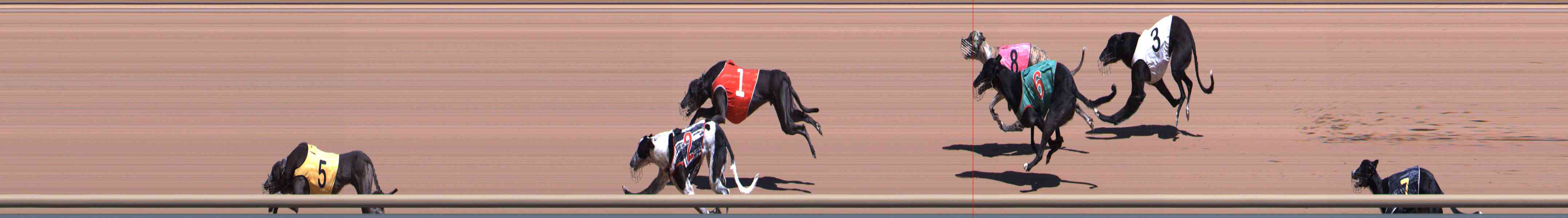 Photo finish for Healesville Race 3
